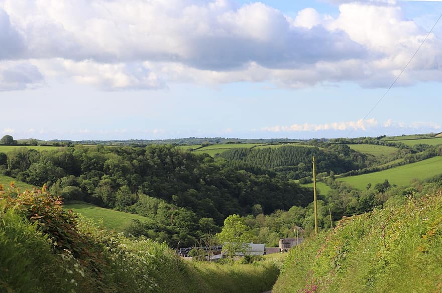 Carmarthenshire, landskabet, Wales, uk, natur, landskab, træer, levende hegn, himmel, skyer, gård