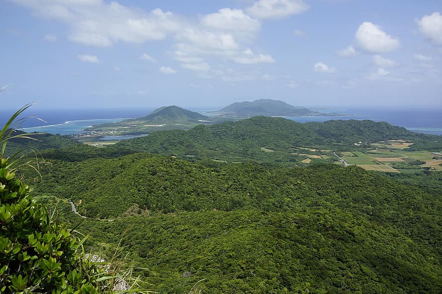 trær, skog, vegetasjon, fjelltopp, tropisk, himmel, okinawa, ishigaki øy, japan, okinawa prefektur, sørlige øya