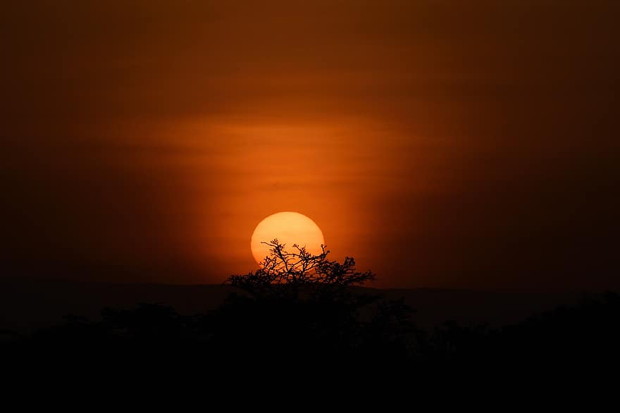 África, masai mara, panorama, por do sol, Dom, crepúsculo, nascer do sol, alvorecer, luz solar, silhueta, retroiluminado