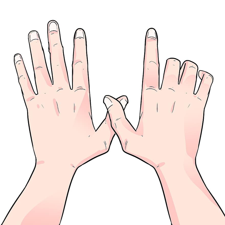 mains, Les deux mains, Volonté avec les mains, des mains humaines, mains avec les doigts