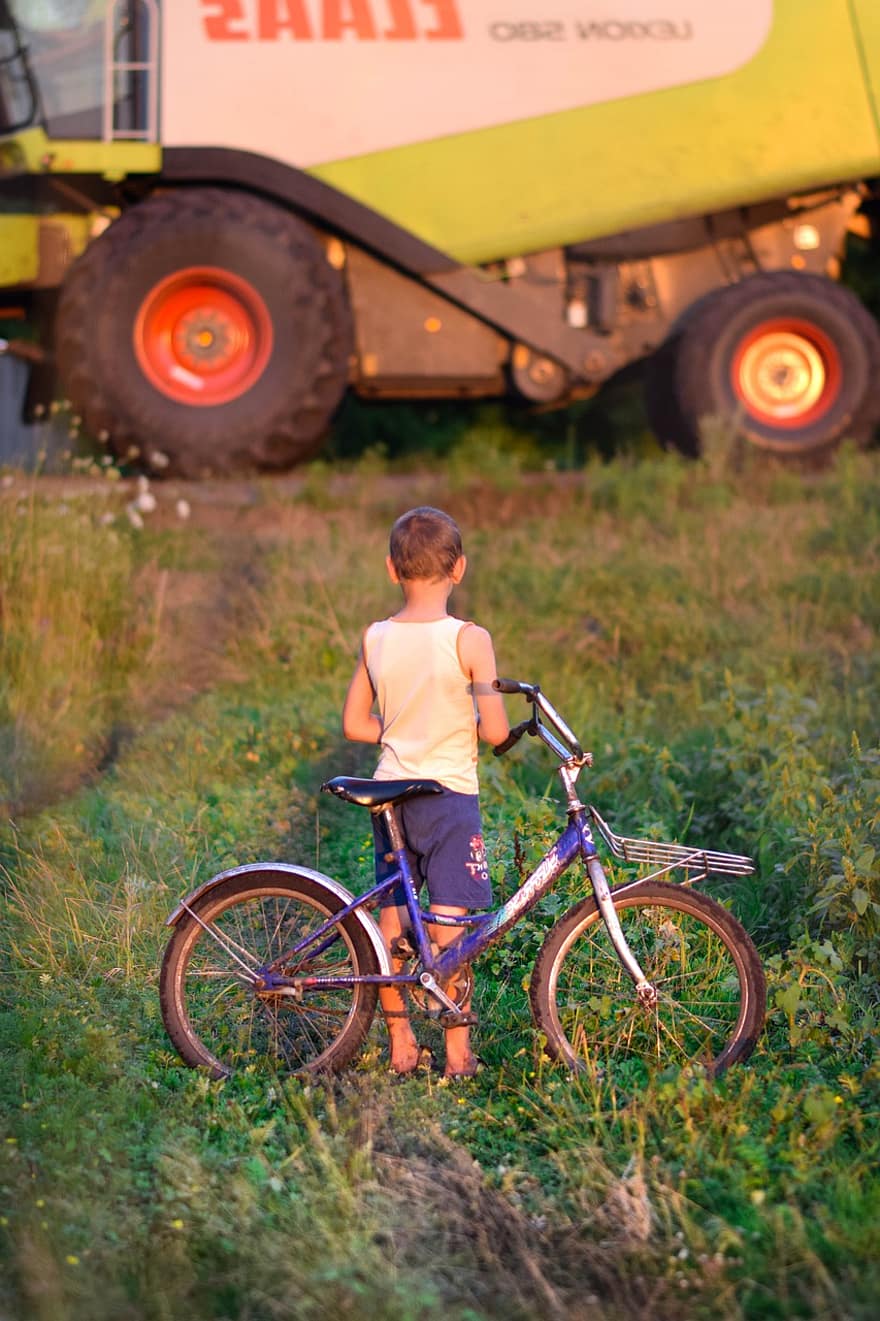 子、自転車、フィールド、収穫機、素朴な、村、トラクター、脱穀、農業の、ファーム、技術