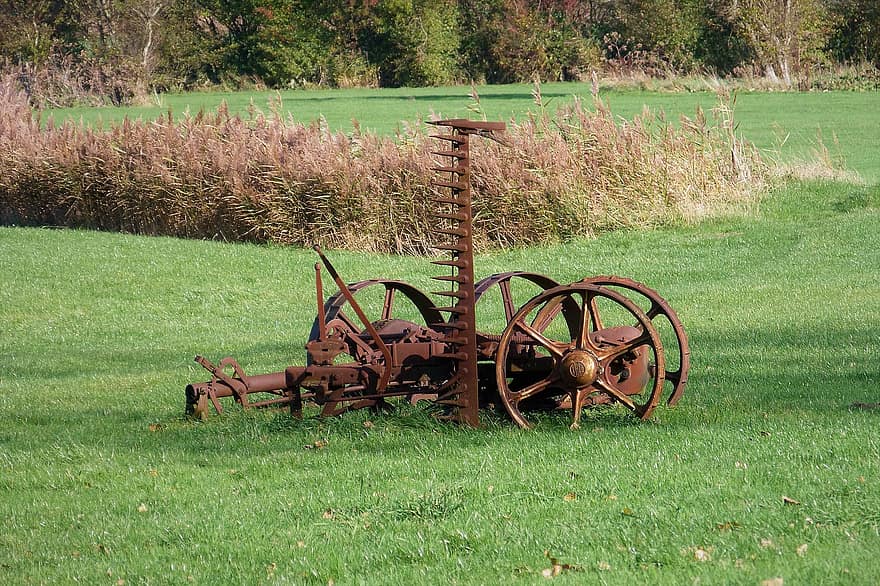 Farm, Rust, Equipment, Abandoned, Meadow, Nature, grass, rural scene, old, wheel, history