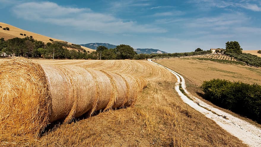Hay, Field, Agriculture, Straw, Stubble, Nature, Rural, Bale, Countryside