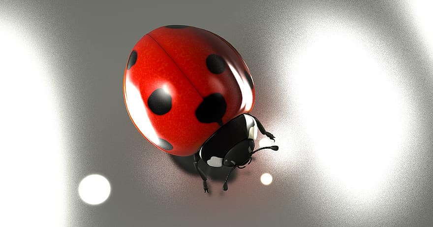 Luck, Lucky Ladybug, 2017, Good Luck, Ladybug, Beetle, Lucky Charm, Nature, Insect, 3d, Rendering