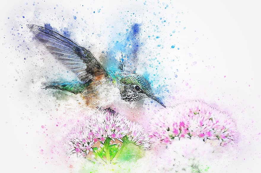 pták, zvíře, květiny, umění, abstraktní, vodové barvy, vinobraní, barvitý, tričko, umělecký, design