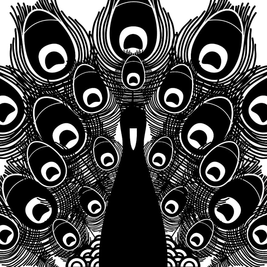 Peacock, Bird, Animal, Feather, Black And White, Clip Art, Gray Art
