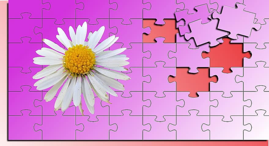 No Person, Wallpaper, Puzzle, Puzzles, Flower, Close Up, Abstract