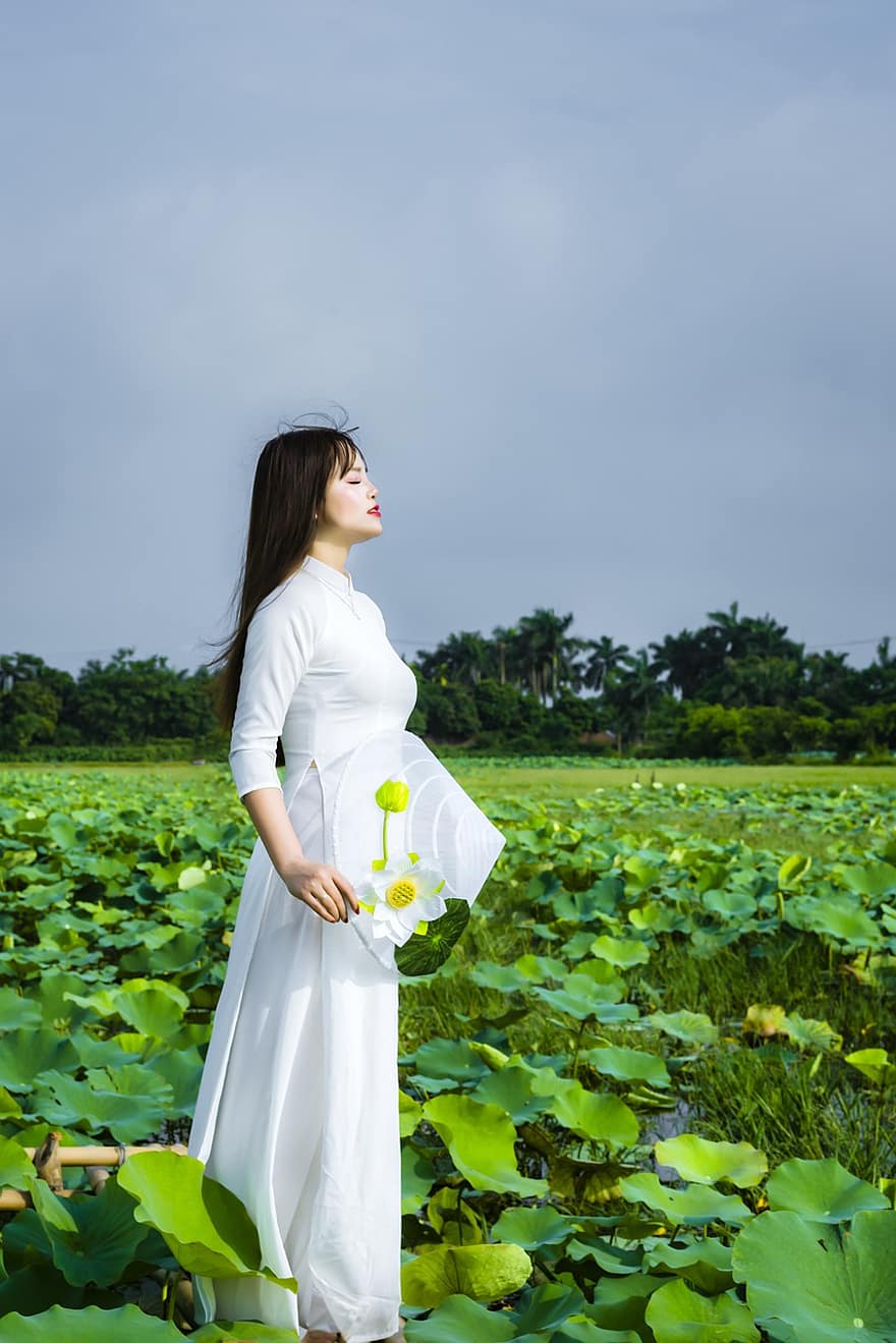 kobieta, biały lotos, Wietnam, azjatyckie, biały, lotos, kwiat, lato, Natura, niebo, Hanoi