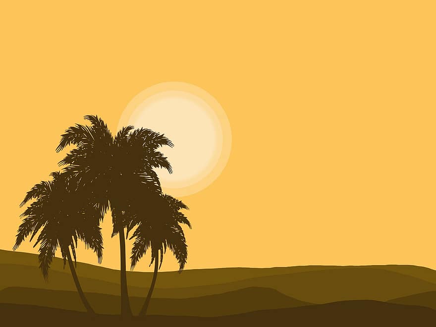 Landscape, Palm, Desert, Sunset, Sun, Trees, Nature