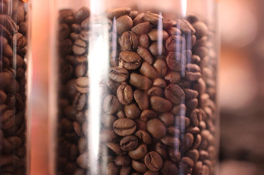 瓶の中のコーヒー豆、アラビカ、ロバスタ、コーヒー、カフェイン、香り、ドリンク、カフェ、コーヒー豆、カプチーノ、カップ