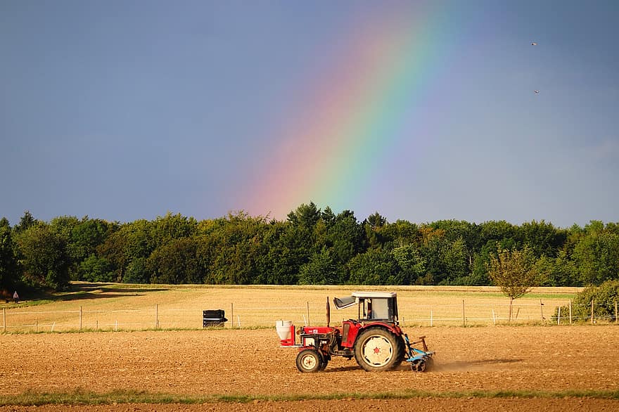 traktor, duha, pole, zemědělství, spektrum, nebe, venkovský