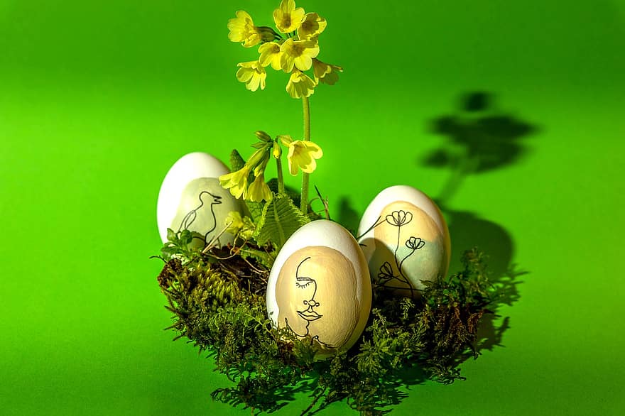 Páscoa, ovos de pascoa, preguiça, musgo, ninho de páscoa, verde, Primavera, grama, primavera, decoração, cristandade