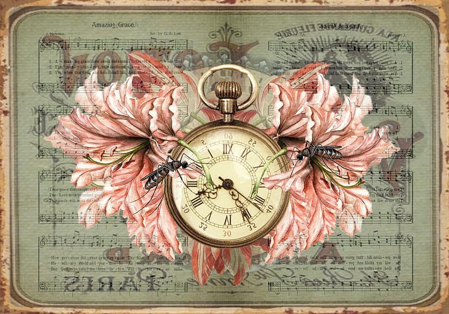 thời gian, cổ điển, bông hoa, đồng hồ
