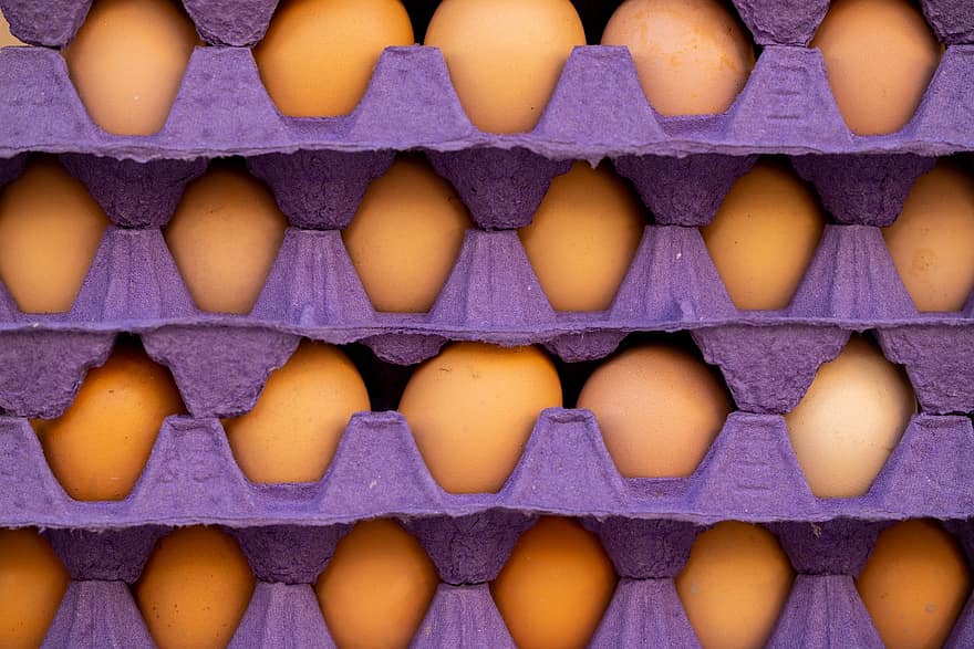 αυγό, πρωτεΐνη, κοτόπουλο, πουλερικά, φαγητό, υγιής, αγορά, διατροφή, βιταμίνη, φρέσκο, ακατέργαστος