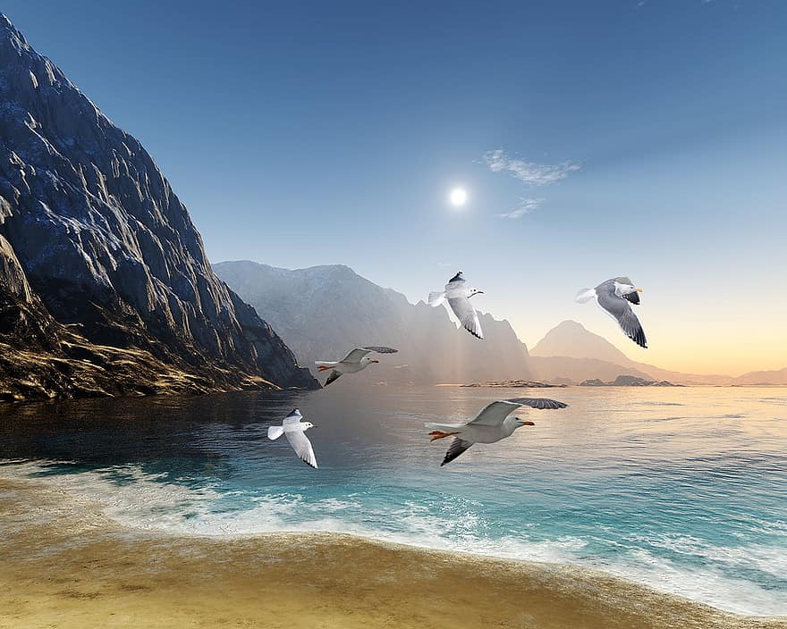 Seagulls, Sea, Mountain, Sky, Sun, Sand, Birds, Beach, dom, Animals, Wings