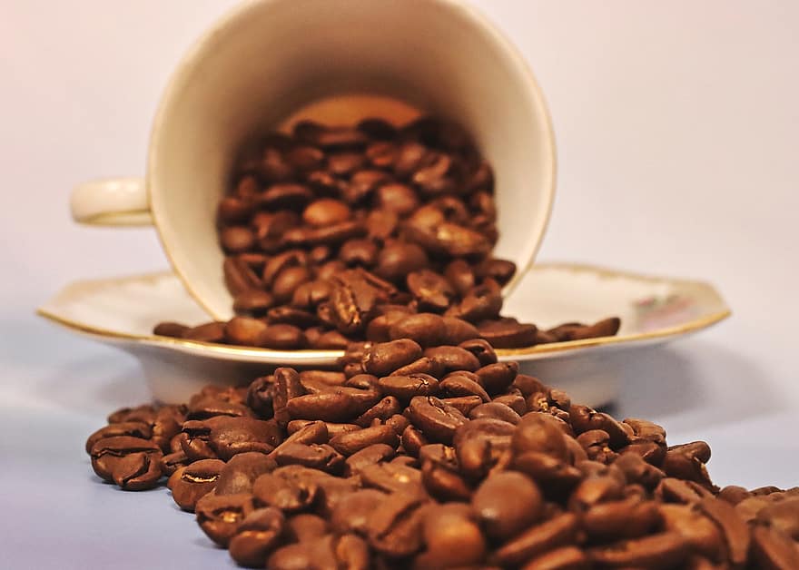 káva, Kávová zrna, pohár, opečený, rozlité, kofein, podšálek, detail, napít se, svěžest, fazole