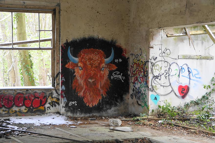 Lost Space, Graffiti, Street Art, Wall, Bull, Bison, Art, Design, Lost Place, dirty, architecture