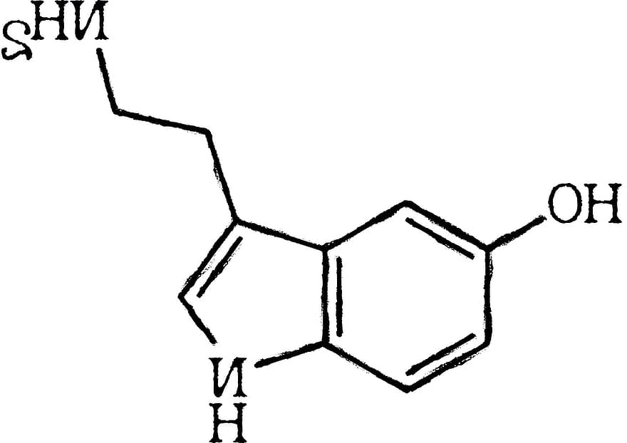 Σερατονίνη, μόριο