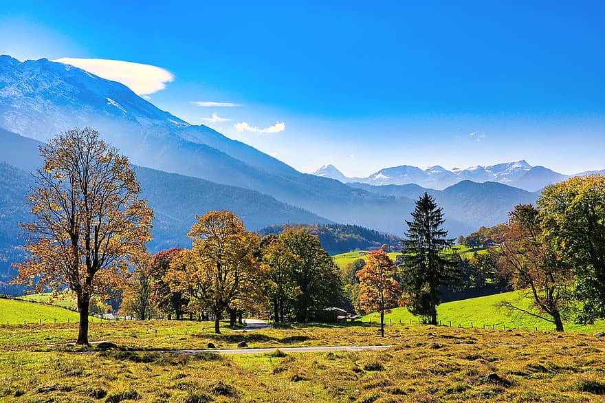 tirolo, Austria, montagne, autunno, paesaggio, umore mattutino, Alpi, prato
