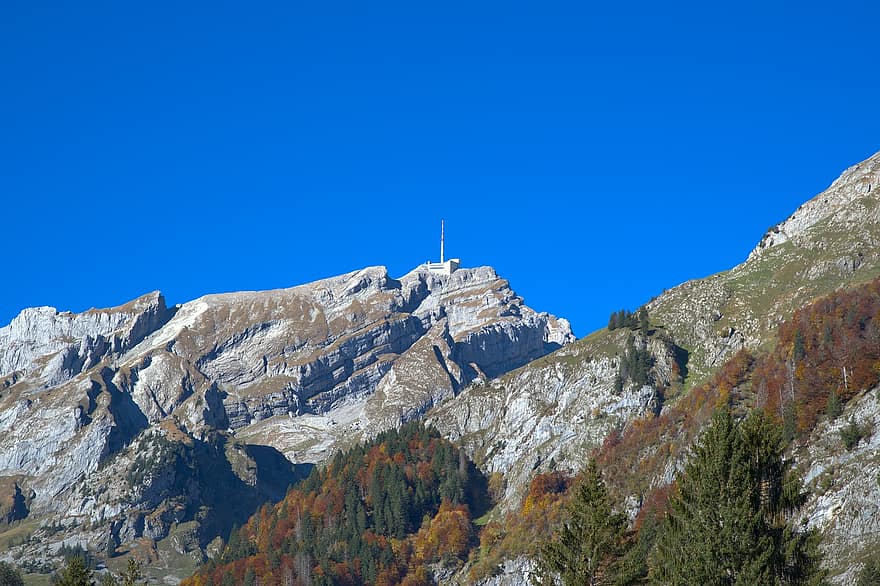 les montagnes, sommet, rocher solide, alpin, Alpstein, säntis, forêt, coloré, l'automne