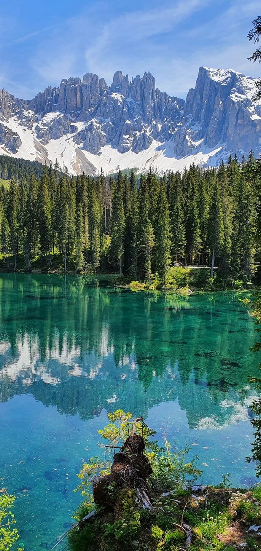 lake carezza, alpine lake, dolomites, forest, mountain, landscape, water, tree, green color, summer, blue