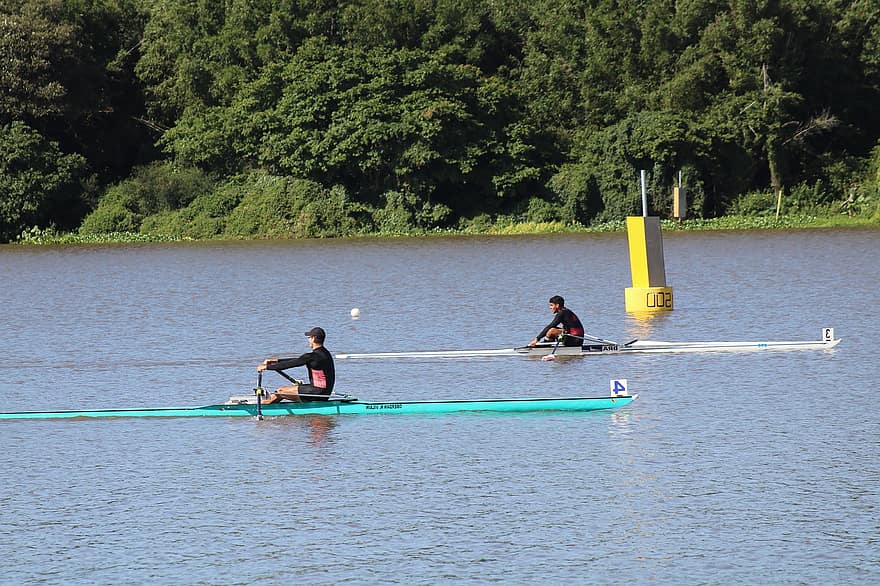 đua thuyền, chèo thuyền, thể thao, cuộc thi, mái chèo, đàn ông, Nước, chèo thuyền thể thao, tàu hải lý, chèo thuyền kayak, mùa hè