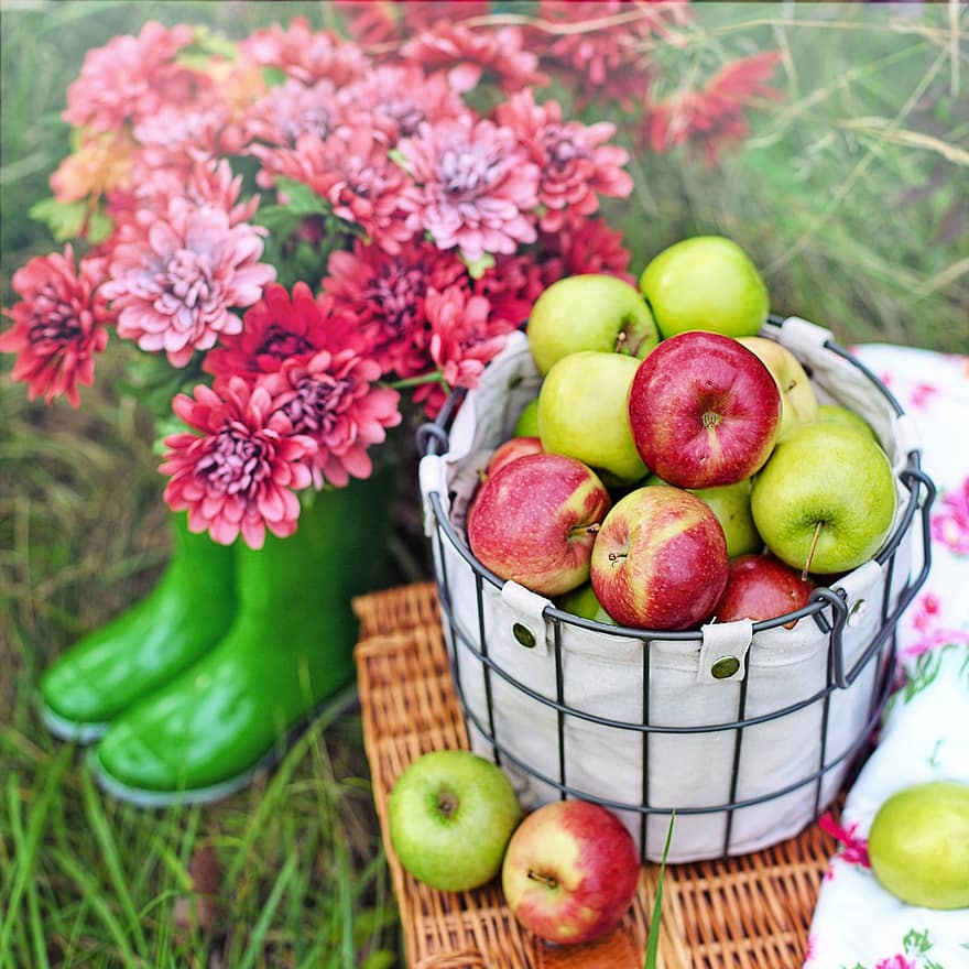 Äpfel, Früchte, Picknick, Lebensmittel, frisch, organisch, gesund, Vitamine, rote Äpfel, grüne Äpfel, Korb