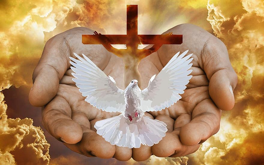 鳩、クロス、手、火災、神、三位一体、聖なる、聖霊、お父さん、息子、イエス