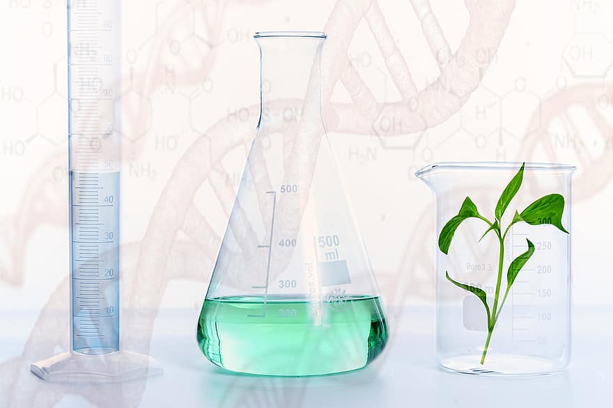 percobaan, penelitian, laboratorium, ilmu, menanam, gmo, kimia, biologi, botol kecil, bahan kimia, gelas kimia