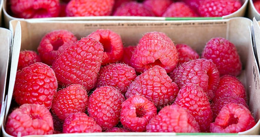 Fruit, Raspberries, Vitamins, Nourishment, Berry, Organic, raspberry, freshness, food, close-up, berry fruit