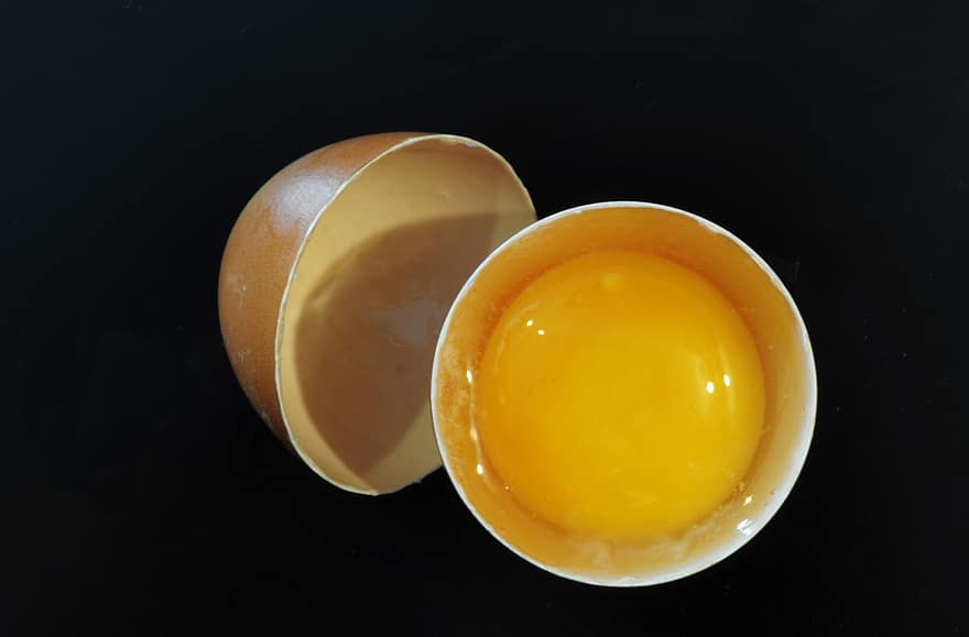telur, kuning telur, kulit, makanan, mentah, kulit telur, memotong