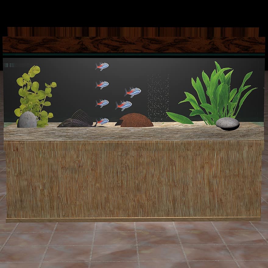 acuario, pez, Wels, planta, vaso
