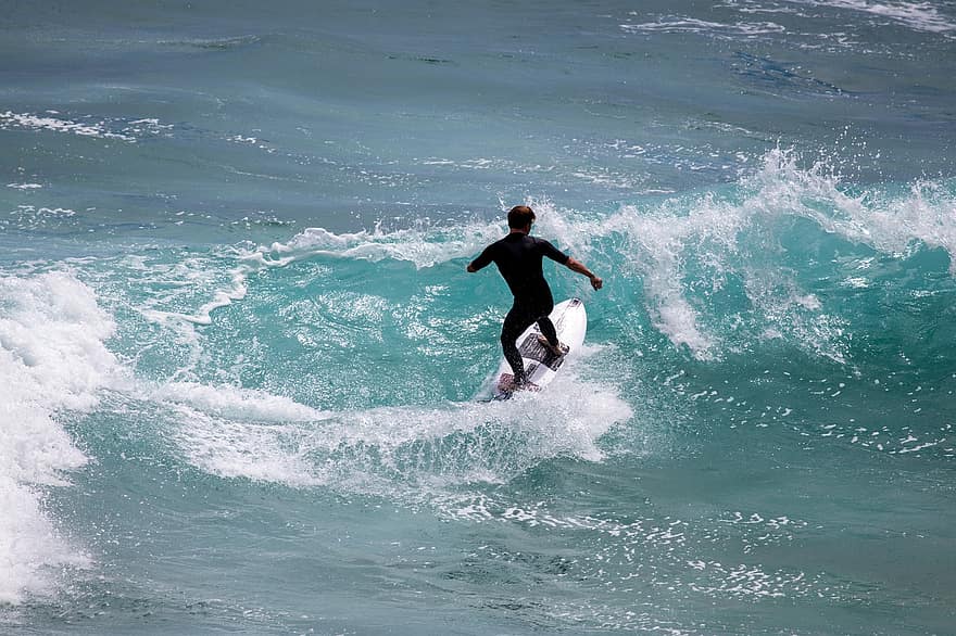 surfing, mand, bølge, sport, ocean, spray, dygtighed
