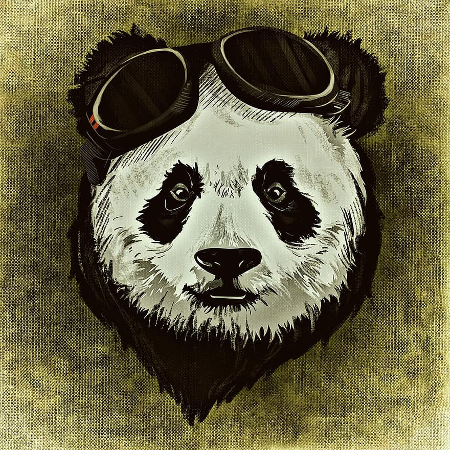 panda, animal, selvagem, abstrato