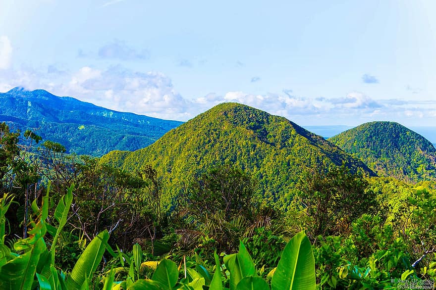 Guadeloupe, hegyek, tájkép, természet, hegy, erdő, zöld szín, kék, nyári, fa, fű