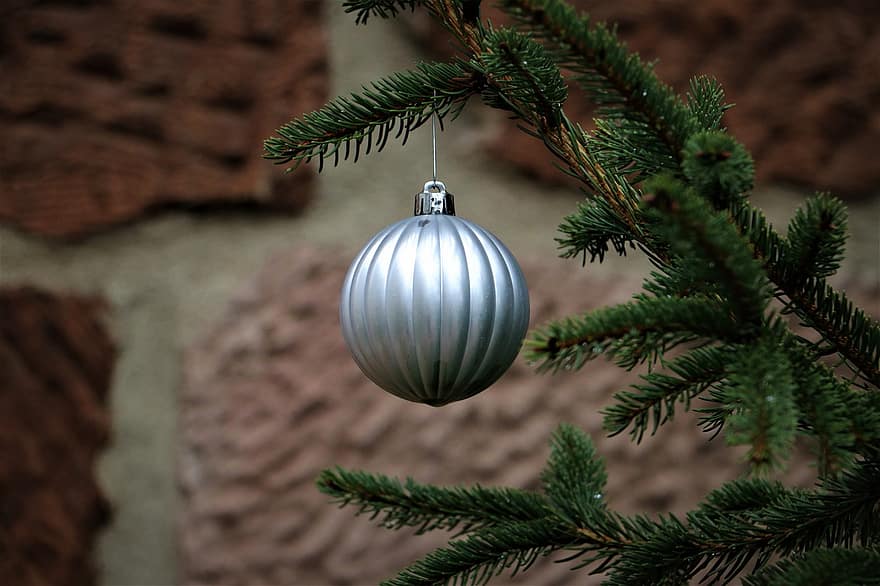 Ела, Коледа, Коледна дрънкулка, идване, коледна елха, коледен мотив, коледна топка, украшение, Коледна украса, коледен декор, Коледно украшение