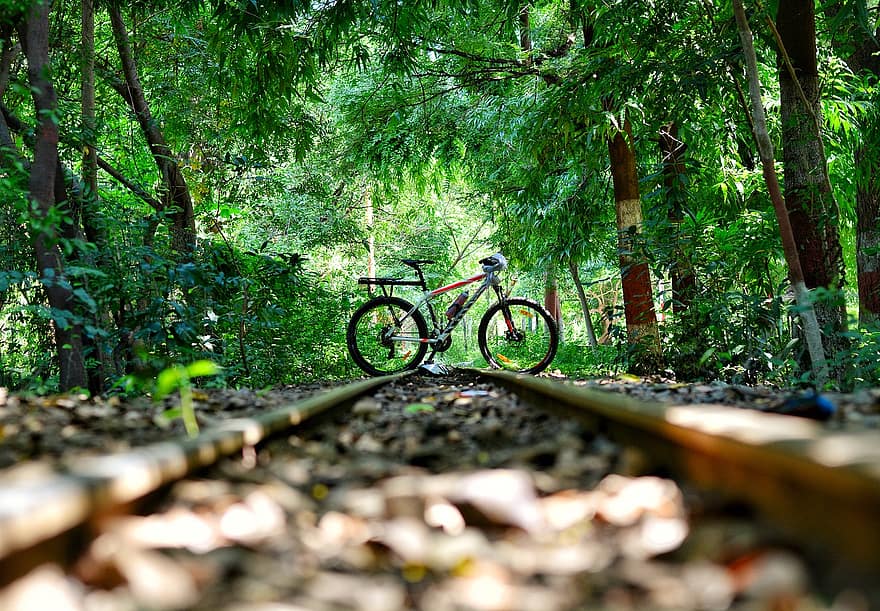 sykkel, smal gauge, jernbane, syklus, gammel jernbane, landskap, trær, skog, natur