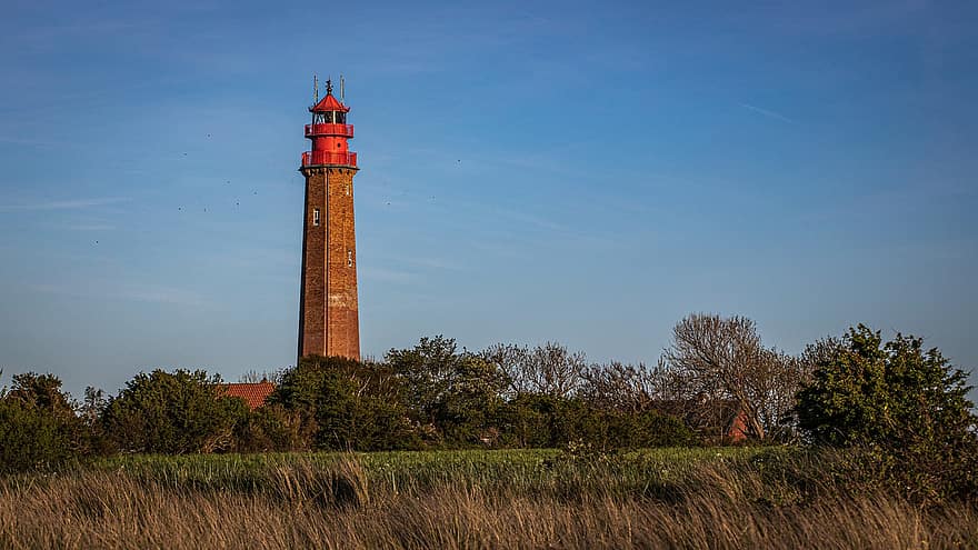 Lighthouse, Tower, Coast, Fehmarn, Baltic Sea, Navigation