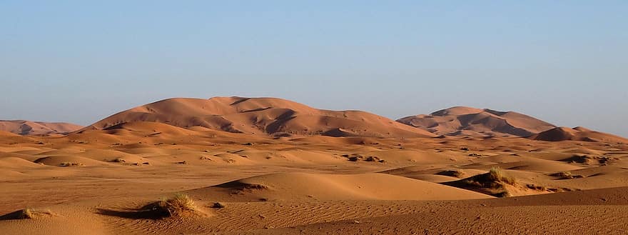 砂漠、サハラ