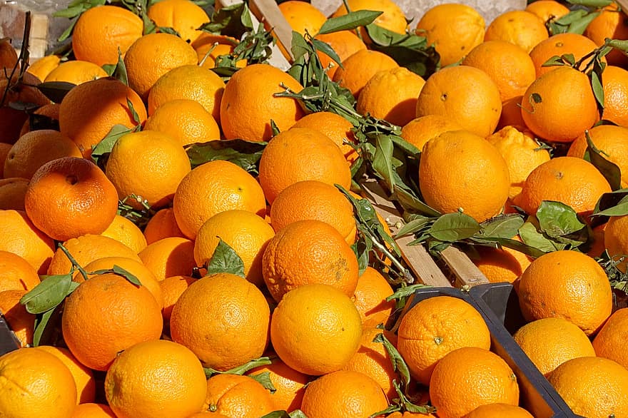 frukt, apelsiner, mogen, hälsosam, skörda, tillväxt, organisk, friskhet, orange, mat, citrusfrukt