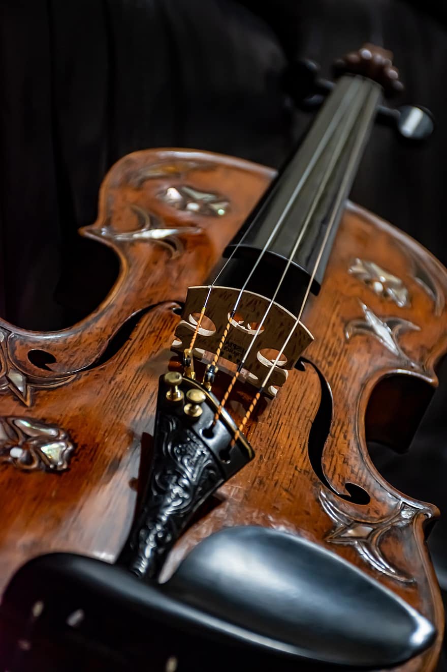 viool, strings, muziek-