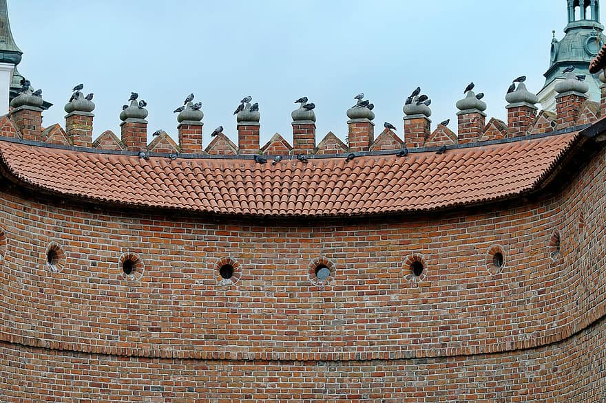Barbacane di Varsavia, Polonia, architettura, punto di riferimento storico, Varsavia, uccelli, colombe, parete, mattone, rosso, denti