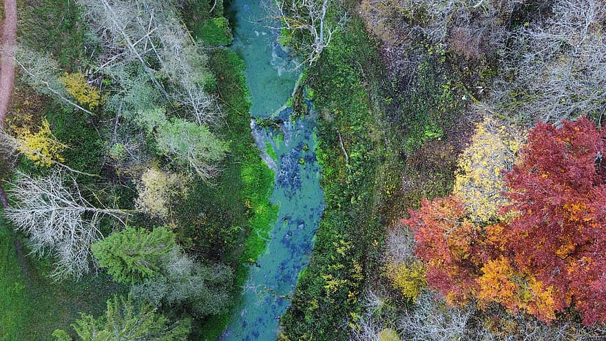река, поток, лес, пейзаж, беспилотная фотография, природа, с высоты птичьего полета, осень, дерево, лист, зеленого цвета