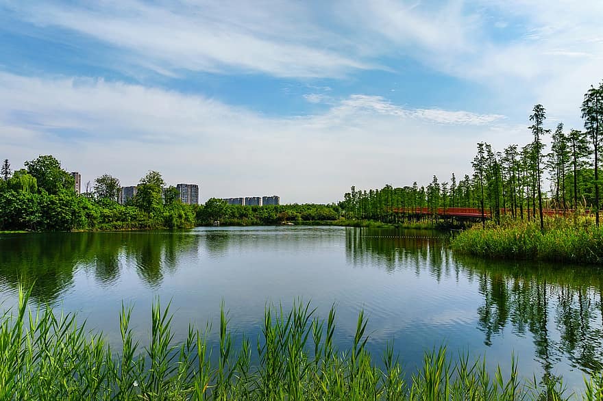 Ασία, chengdu, Κίνα, πόλη, Tianfu Greenway, τοπίο, φυσικός, λίμνη, καλοκαίρι, πράσινο χρώμα, νερό