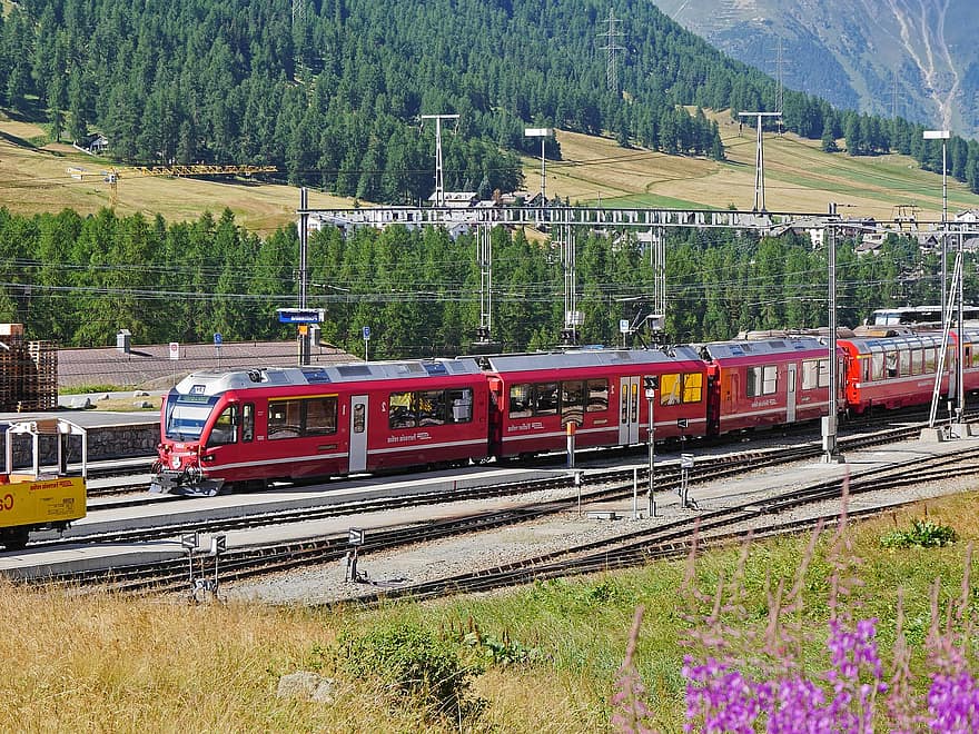ferrocarril, estació de tren, ferrocarrils ràtics, passarel·la, pontresina, Bernina, visites turístiques, unitat múltiple elèctrica, cotxe panoràmic, engadin, rhätikon