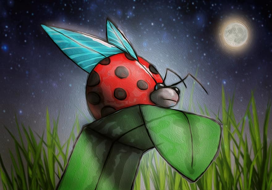 калинка, илюстрация, трева, бръмбар, насекомо, природа, насекоми, фантазия, пружина, небе, нощ