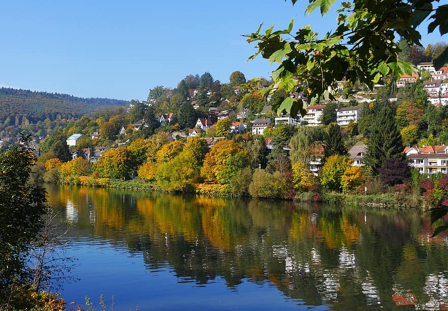 natura, fiume, cittadina, autunno, stagione, Riva del fiume, Neckar