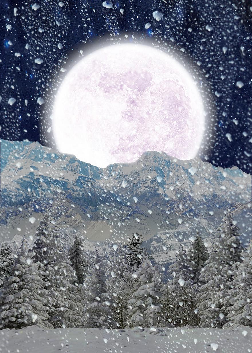 fundo, neve, inverno, natureza, arvores, floresta, lua, noite, arte digital