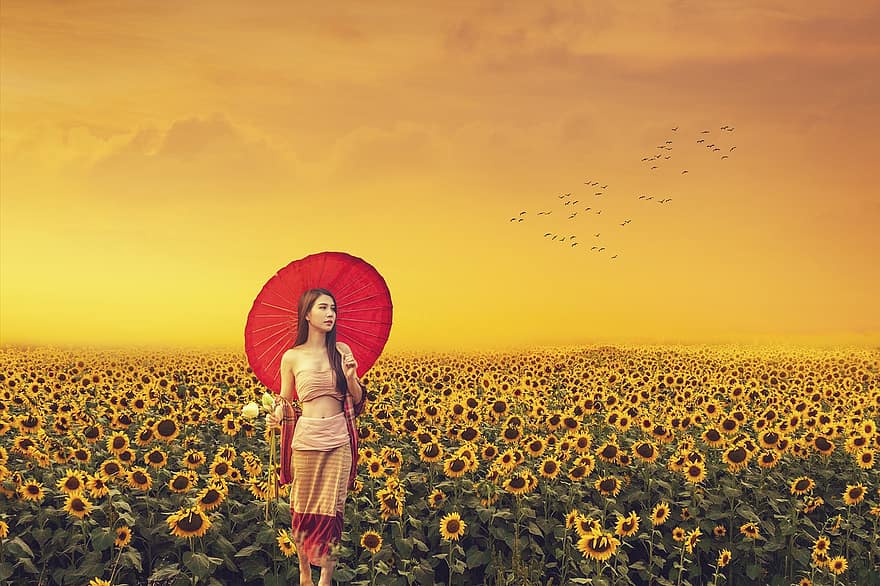 жінка, соняшники, поле, модель, жіноча модель, азіатська модель, азіатські жінки, соняшникове поле, плантація соняшнику, ферми, краєвид