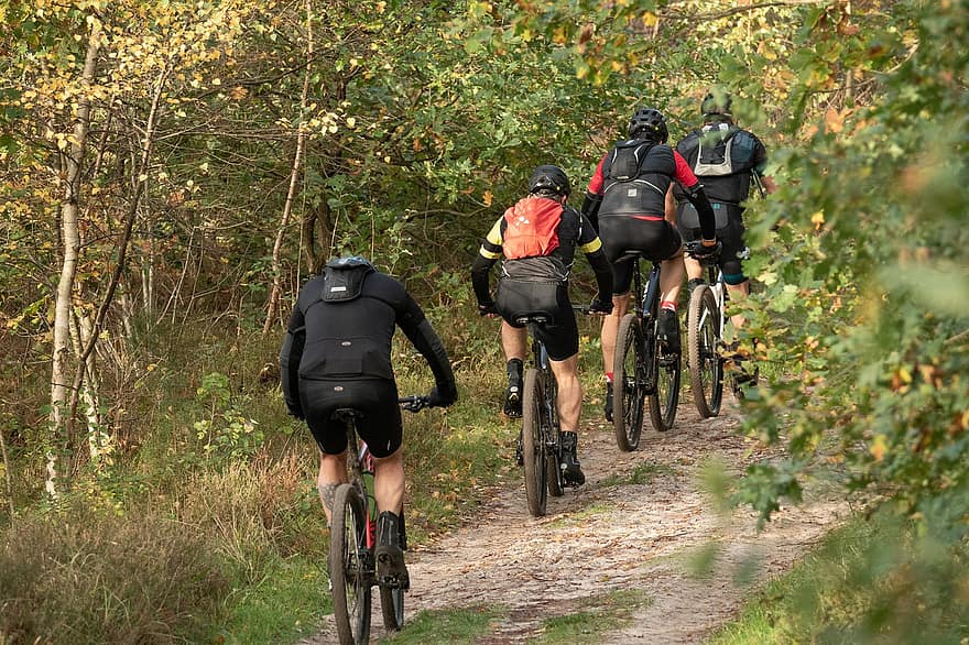 велосипедисты, велосипеды, кататься на велосипеде, спортивный, отдых, лес, на открытом воздухе, деятельность, шлемы, защитные приспособления, природа